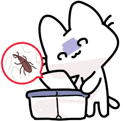 米びつに虫がわく