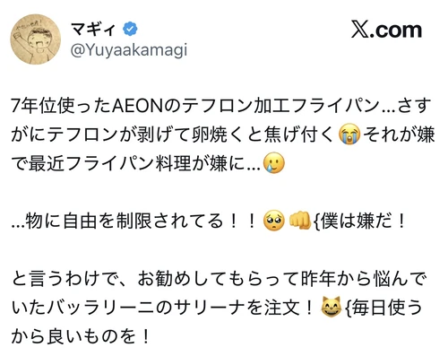 7年ほど使ったフライパンのコーティングが剥げて、バッラリーニのサリーナを選んだ人のX口コミ