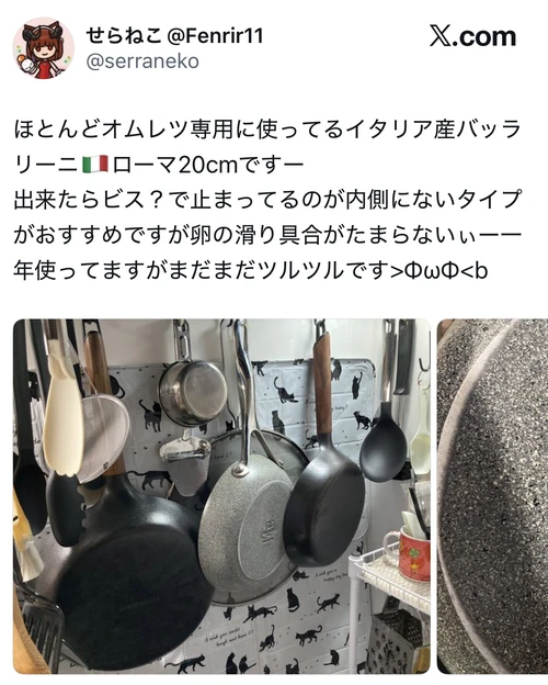 バッラリーニ ローマ20cmをオムレツ用に1年使って、まだまだツルツルというX口コミ