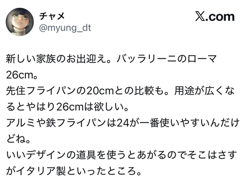 いいデザインの道具を使うと気分が上がる、さすがイタリア製というバッラリーニ ローマ26cmのX口コミ