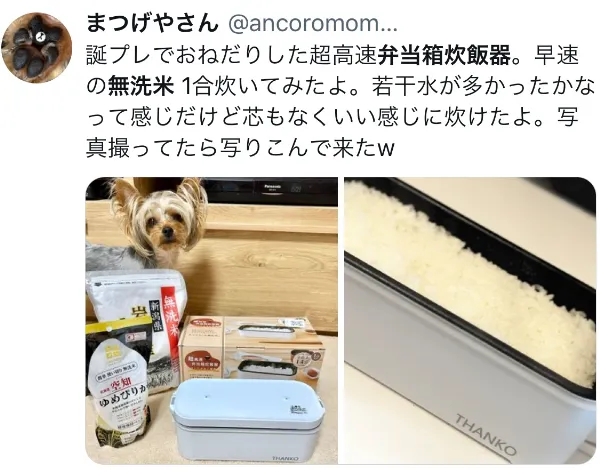 弁当箱炊飯器に関するX口コミ