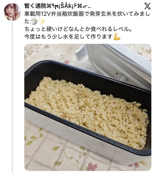 車載用12V弁当箱炊飯器に関するX口コミ