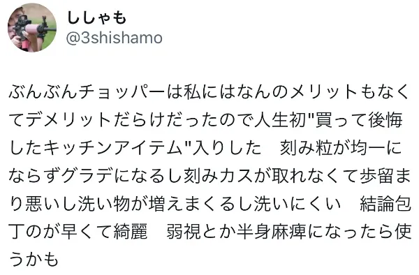 ぶんぶんチョッパーに関するX口コミ